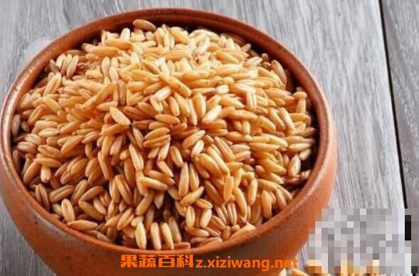 燕麦米的功效与作用 燕麦米的吃法