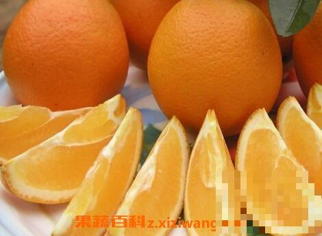 橙子不能和什么一起吃 吃橙子的禁忌
