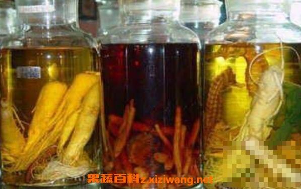 怎样泡药酒 药酒用什么酒泡好