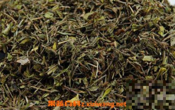 黄毛耳草的功效与作用及药用价值