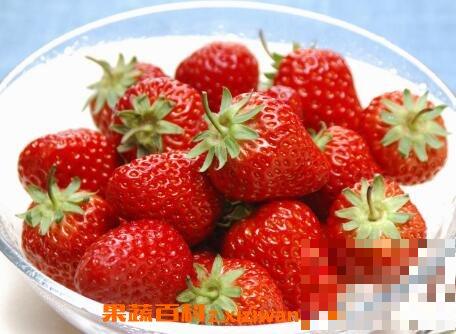 孕妇可以吃草莓吗 孕妇吃草莓的好处