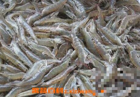 河虾怎么做好吃 河虾的做法与功效