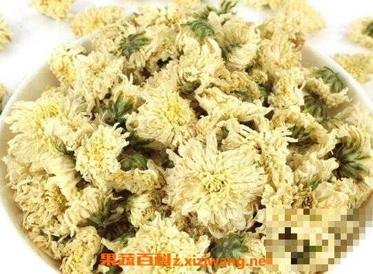 白菊花茶的功效与作用 白菊花茶的冲泡方法