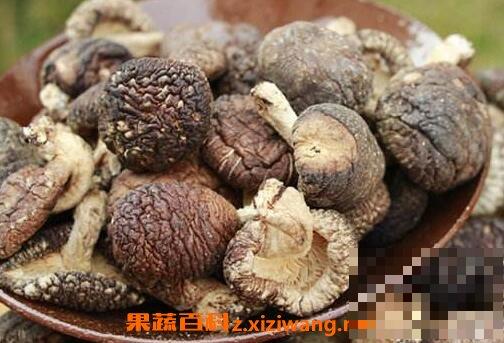 椴木香菇的营养价值与功效 吃椴木香菇的好处