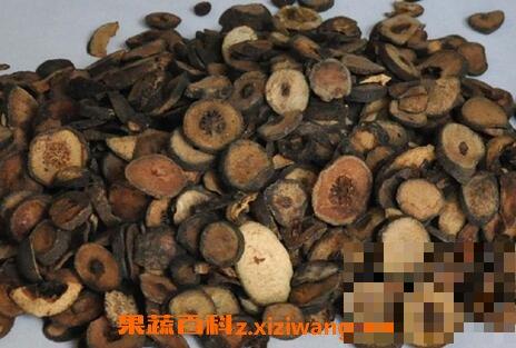 枳实的功效与作用及食用方法