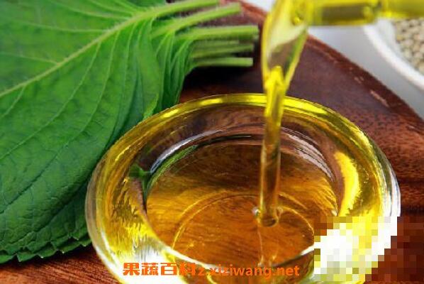 紫苏籽油的功效与作用 吃紫苏籽油的好处