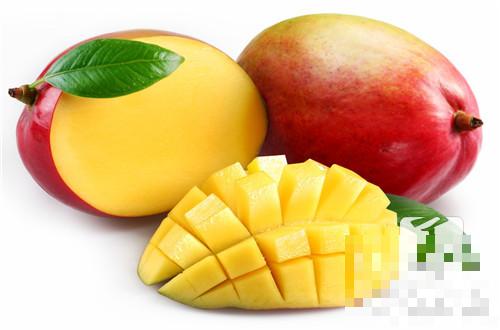 肺结核病人能吃芒果吗