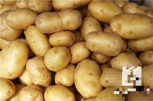 为什么土豆发芽不能吃