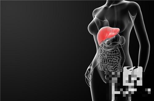 肝脏囊肿是怎么回事？权威专家介绍答案