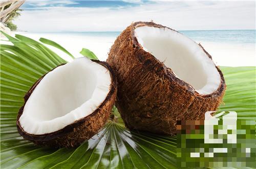 椰子分几个品种？