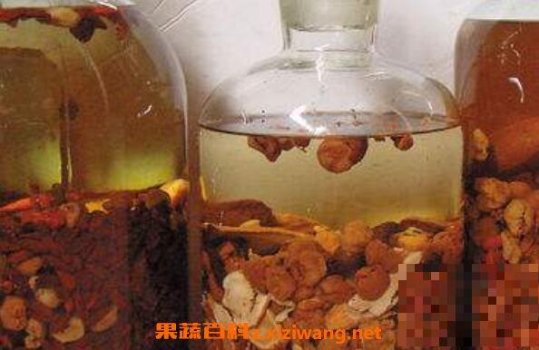 锁阳怎么泡酒 锁阳泡酒的配方和功效