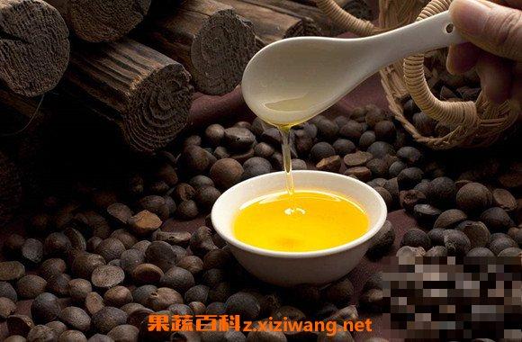 茶油怎么吃 吃茶油的功效有哪些