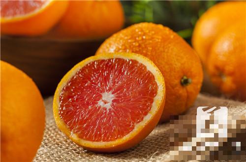 咽炎能吃橙子吗