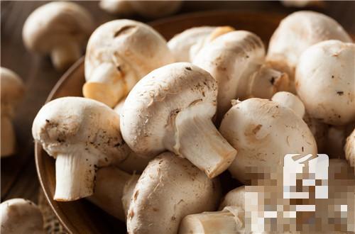 山蘑菇怎么做好吃呢