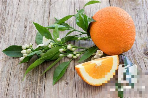 咽炎能吃橙子吗
