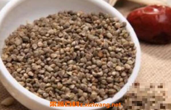 菠菜籽粉的功效与作用 菠菜籽的药用价值