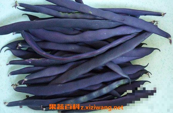 紫芸豆怎么做好吃 紫芸豆的食用方法