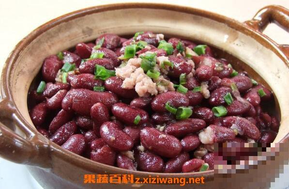 红腰豆的食用禁忌 红腰豆和哪些食物相克