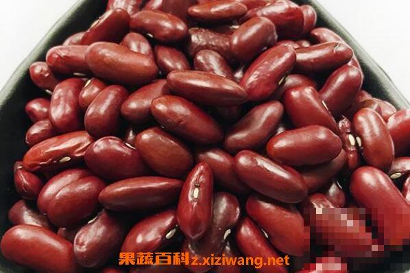 红腰豆的食用禁忌 红腰豆和哪些食物相克