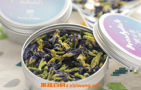 蝶豆花泡茶的副作用 蝶豆花什么人不适合吃