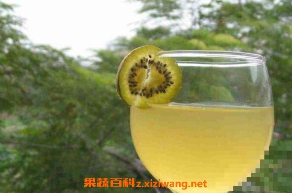 圆枣子酒的制作方法 圆枣子泡酒的步骤教程