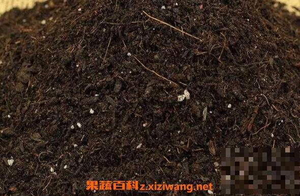 花土怎么配 最简单的多肉植物配土方法