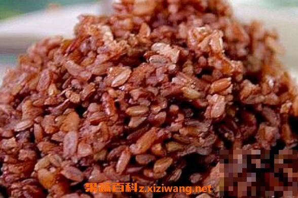 红糙米的功效与作用 吃红糙米的好处