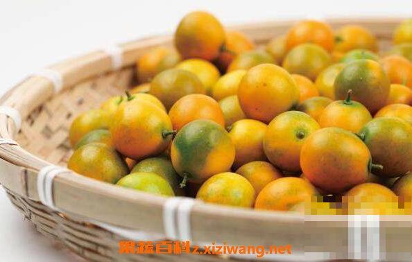 金橘精油的功效与作用 金橘精油的用途有哪些
