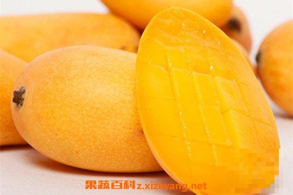 芒果酵素的功效与作用 喝芒果酵素的好处