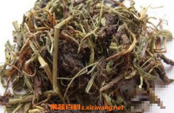 穗甘松的功效与作用 穗甘松的药用价值