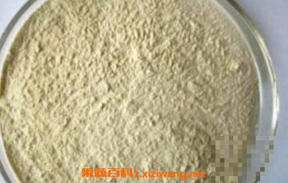 白芸豆粉的功效与作用 吃白芸豆粉的好处