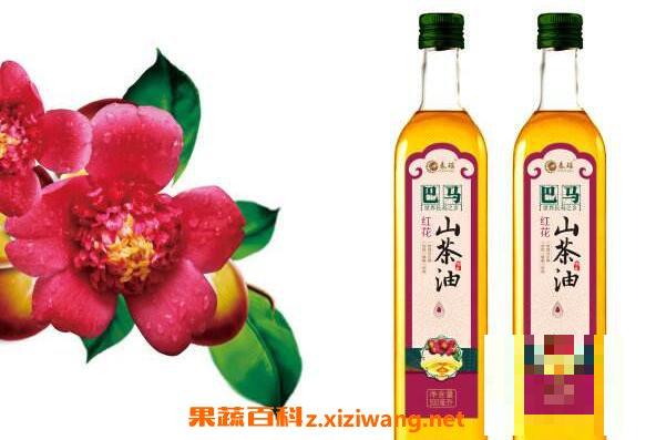 红花茶油怎么吃 红花茶油的食用方法