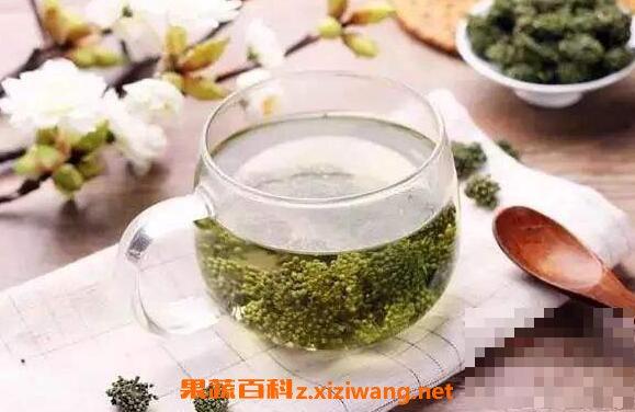 田七花茶的功效与作用 田七花茶的冲泡方法