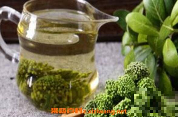 田七花茶的功效与作用 田七花茶的冲泡方法