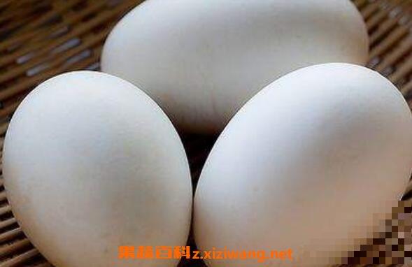 鹅蛋对女人有什么好处 女性长期吃鹅蛋的好处