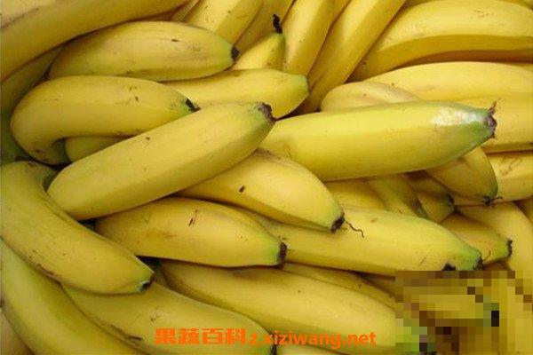 香蕉酵素的功效和作用 吃香蕉酵素的好处