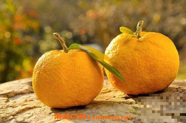 柚子酵素的功效与作用 吃柚子酵素的好处