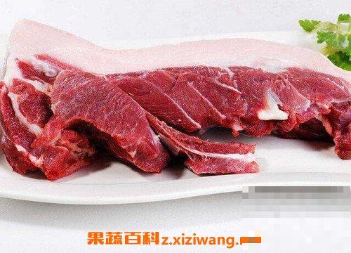 野猪肉的功效与作用