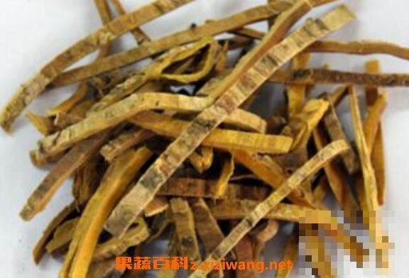 黄柏膏的功效与作用 黄柏膏怎么用