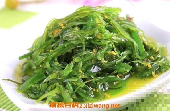 裙带菜怎么吃 裙带菜的食用禁忌