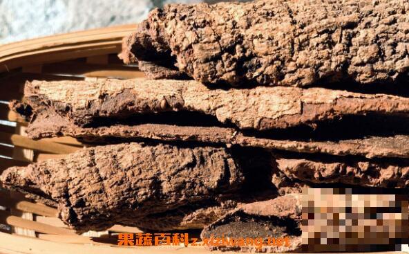杨梅树皮的功效与作用及药用价值