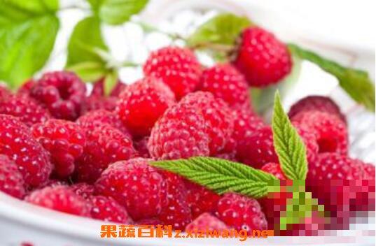 树莓和覆盆子的区别 吃树莓的好处
