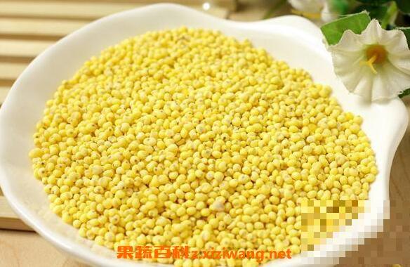 大黄米怎么吃最好 大黄米的正确食用方法