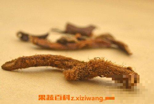 毛姜泡酒的功效与作用 毛姜泡酒的药用价值