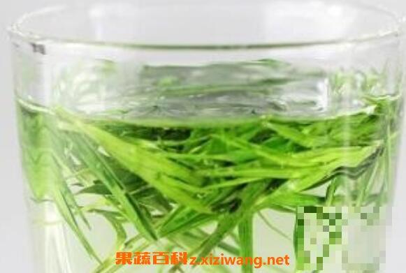 石竹茶怎么泡 石竹茶的正确泡法