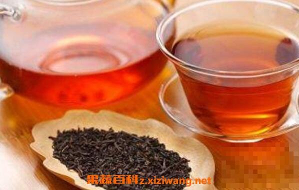 红茶蒲公英泡水的功效与作用