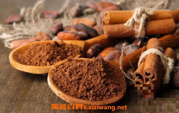 肉桂粉怎么吃最好 肉桂粉的食用方法