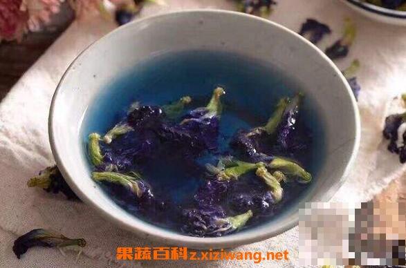 蓝蝴蝶花茶的功效与作用 蓝蝴蝶花茶的禁忌