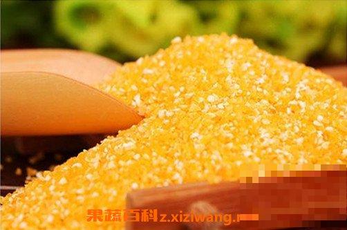 玉米渣的功效与作用 玉米渣怎么吃