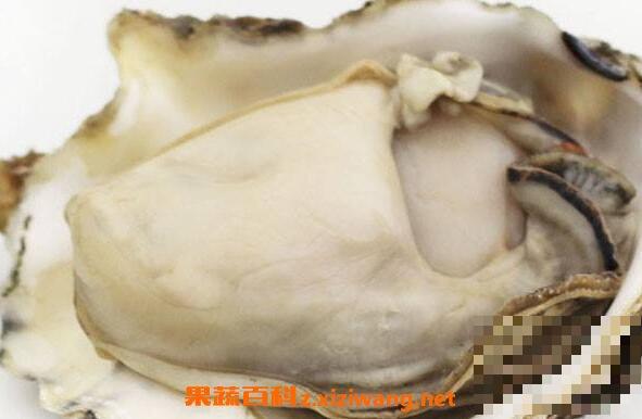 牡蛎粉怎么吃法 牡蛎粉的食用方法